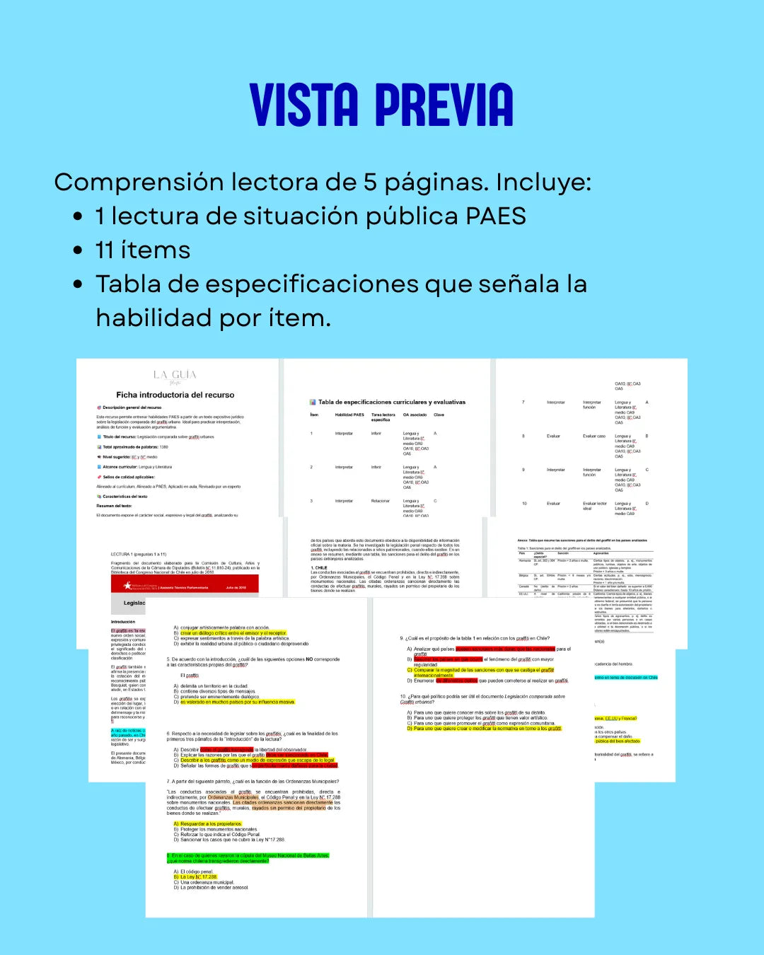 III° a IV° - Comprensión Lectora "Legislación Graffiti"