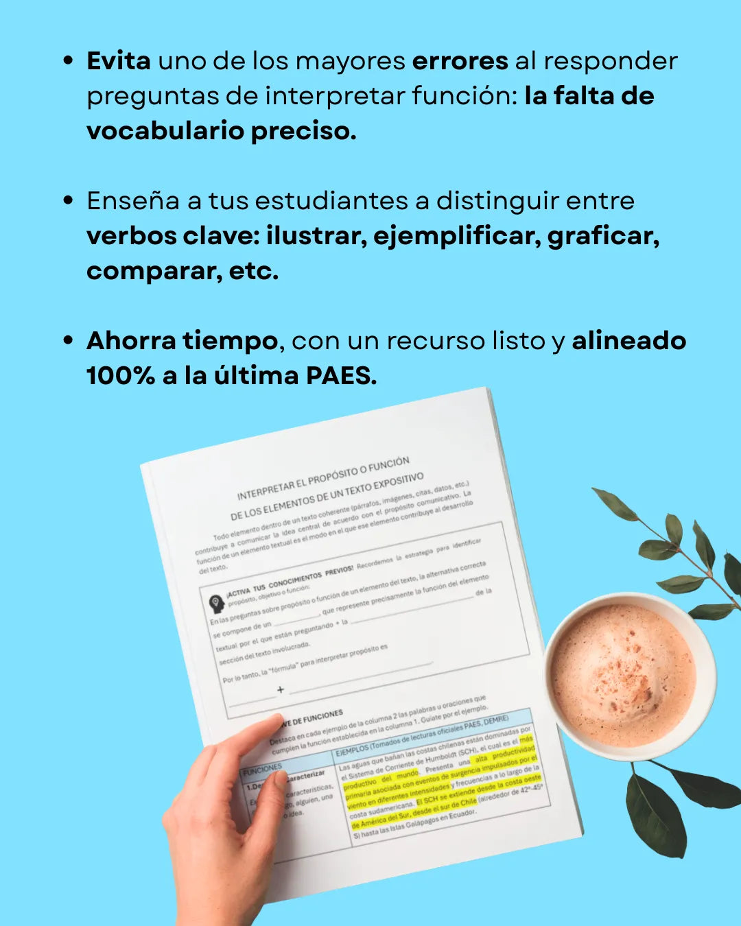 III° a IV° Interpretar la función: vocabulario esencial (4 págs)